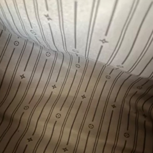 Louis Vuitton Delightful GM - Picture 6 of 13